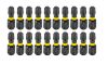 GRAPHITE Torziós ütvecsavarozó bit TX30 x 25mm, 20db 56H547
